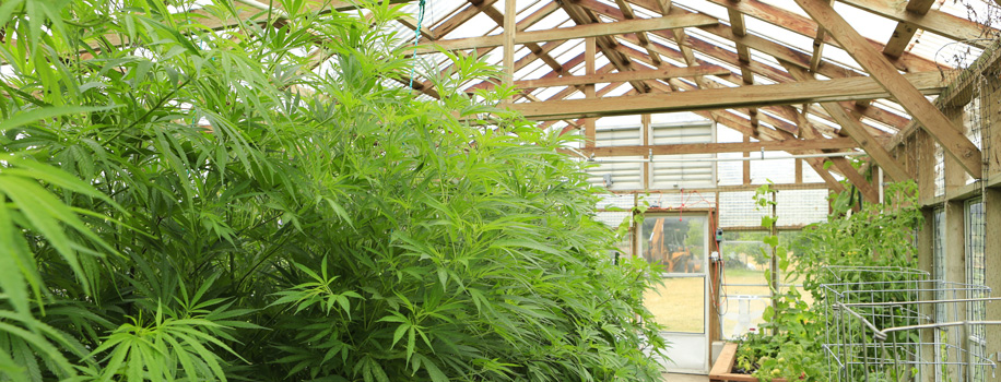 Security Solutions for Apartments in San Antonio, TX